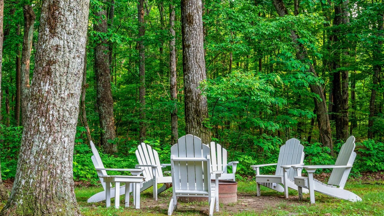 Photo of Outdoor in Sewanee