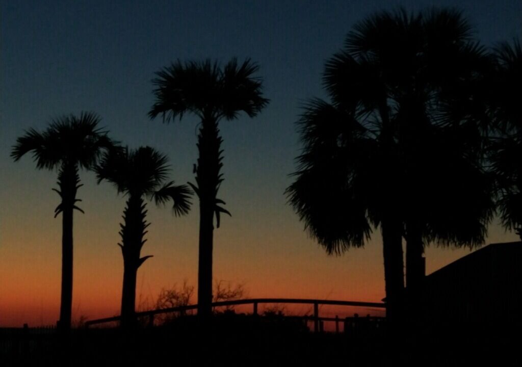 Photo of Others in Cape San Blas