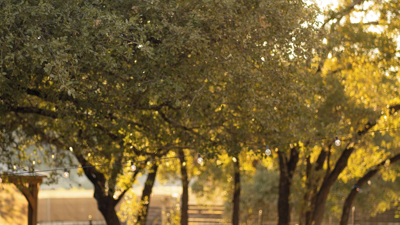 Photo of Outdoor in Leander