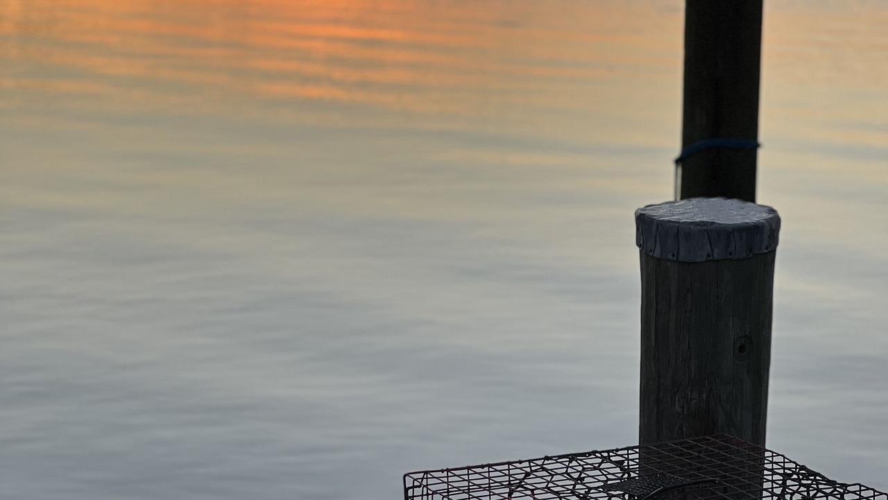 Photo of Others in Selby-on-the-Bay