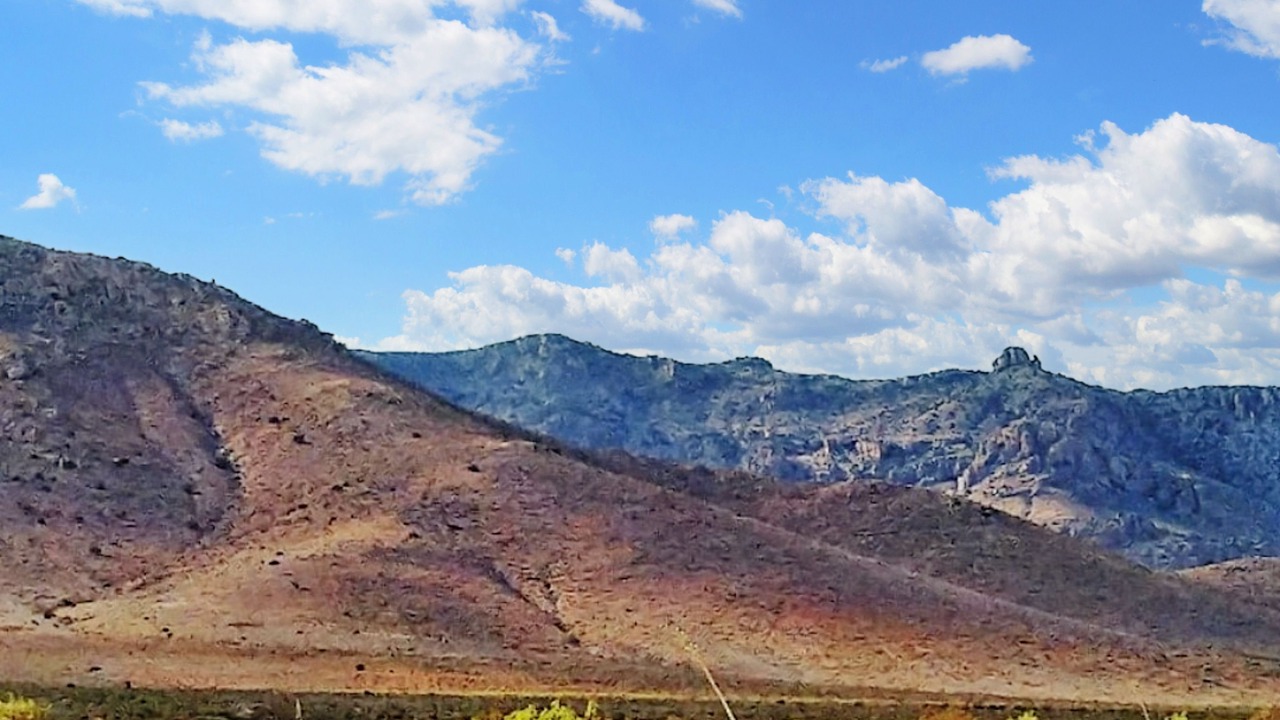 Photo of Others in Animas