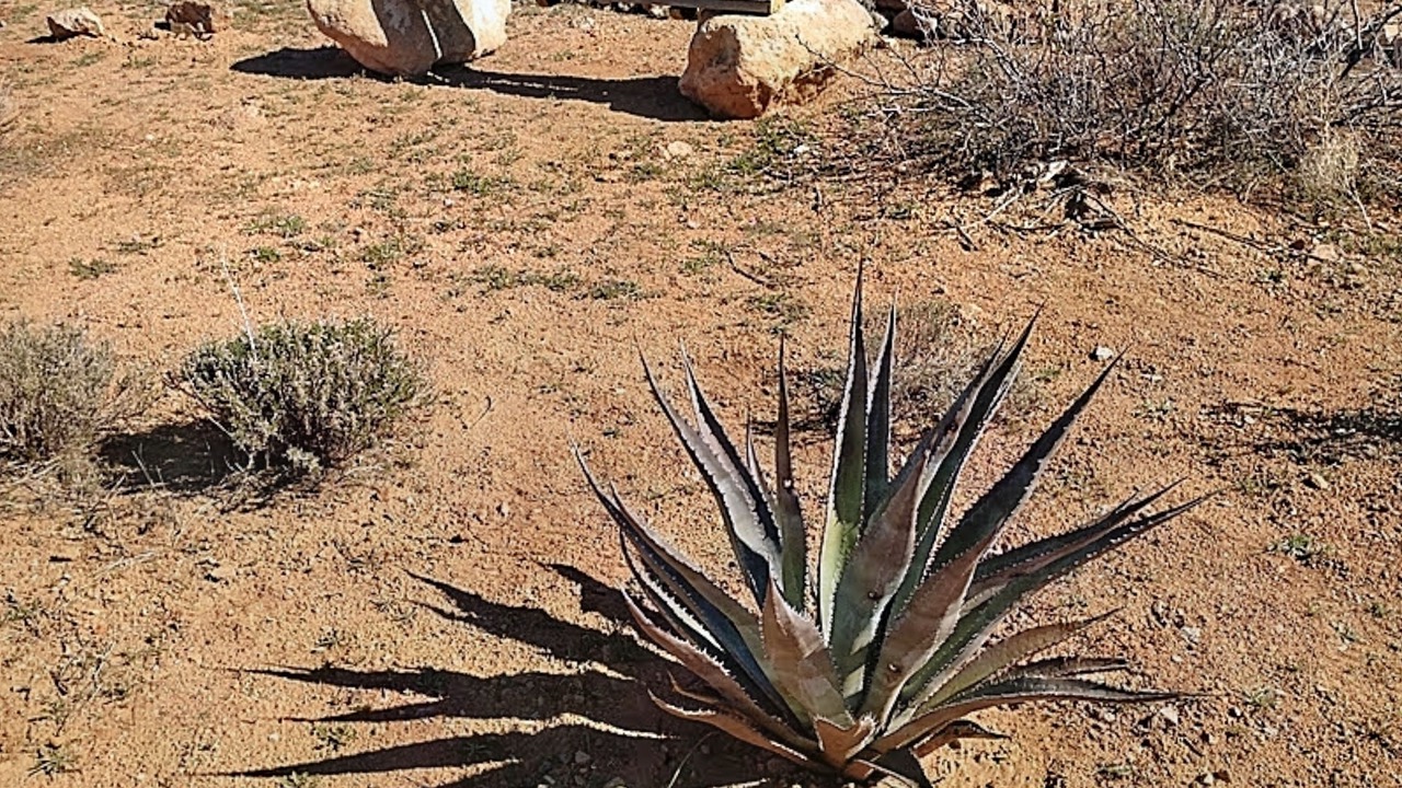 Photo of Outdoor in Animas