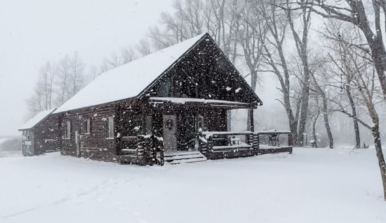 Photo of Others in South Fork