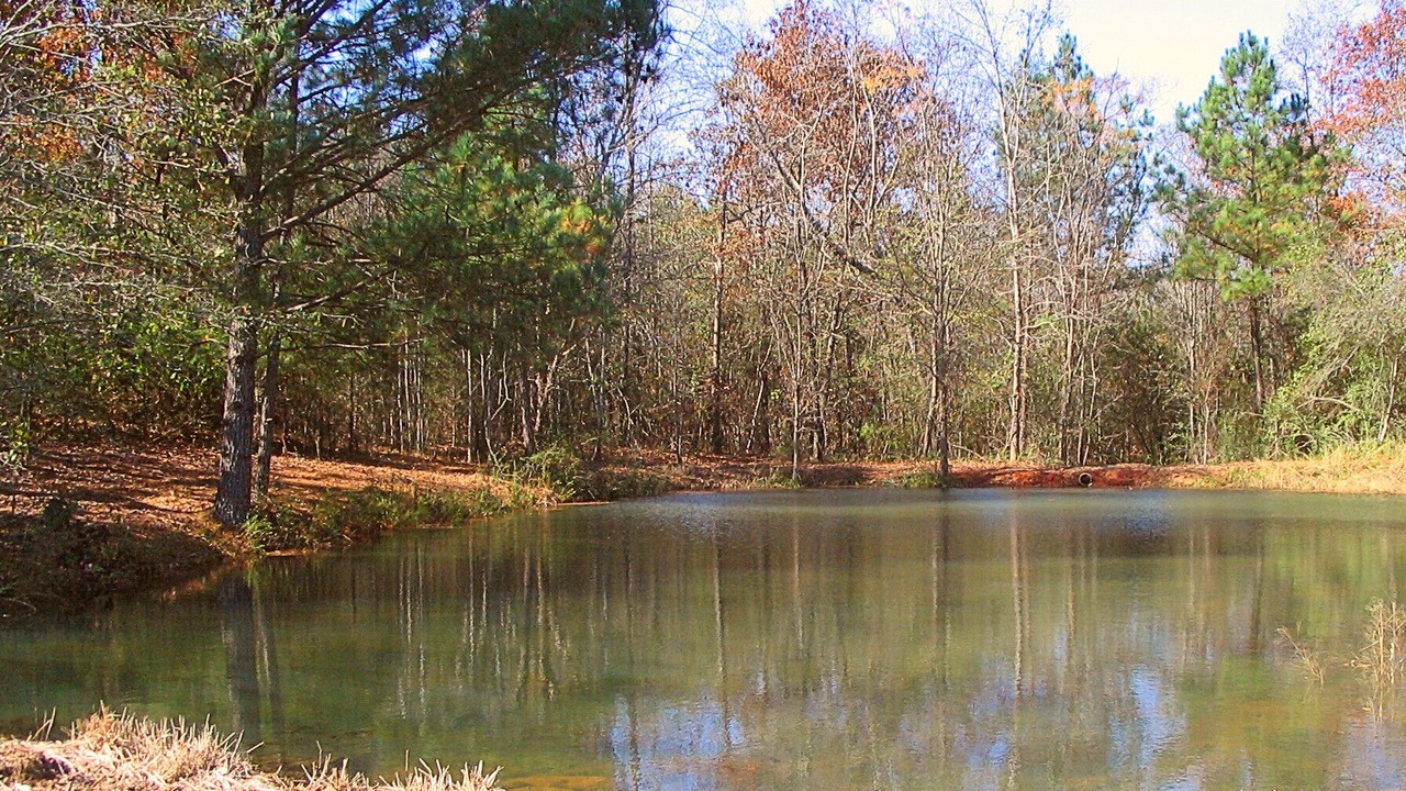 Photo of Others in Covington