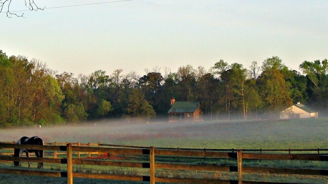 Photo of Others in Covington