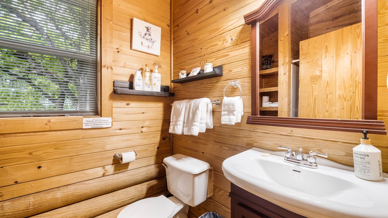 Photo of Bathroom in Knoxville