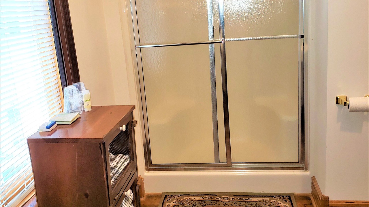 Photo of Bathroom in Bartlett