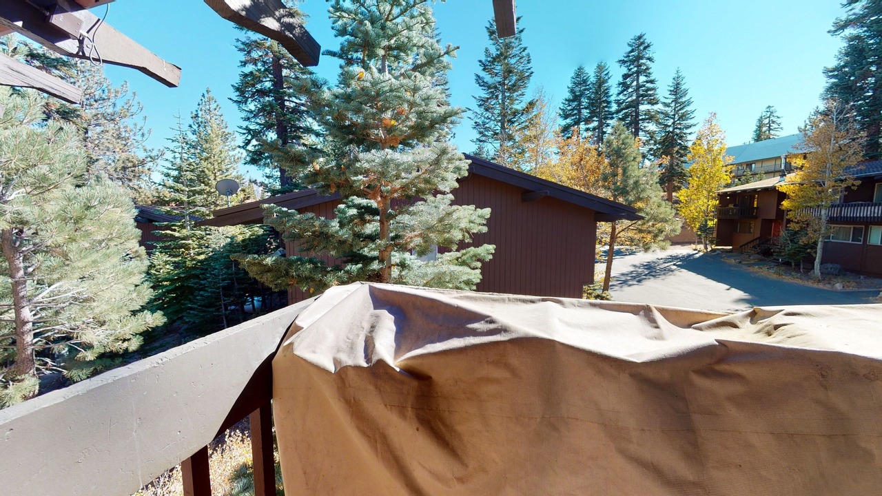 Photo of Others in Mammoth Lakes
