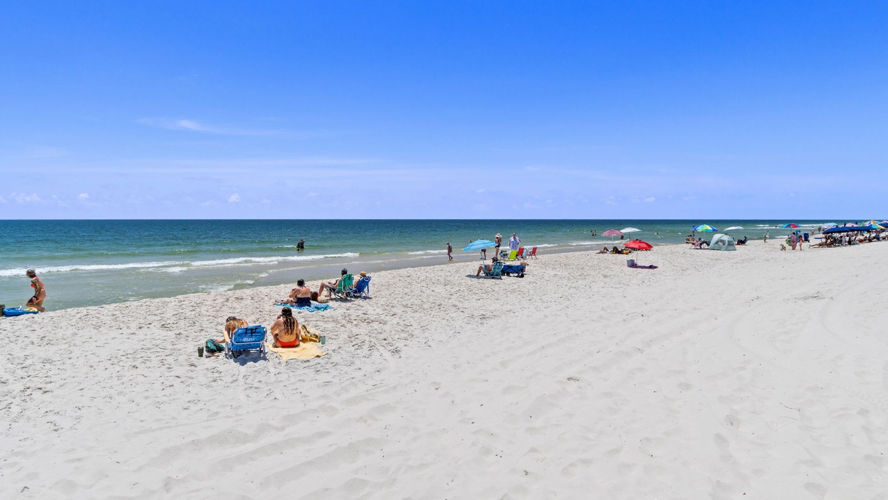 Photo of Others in Gulf Shores