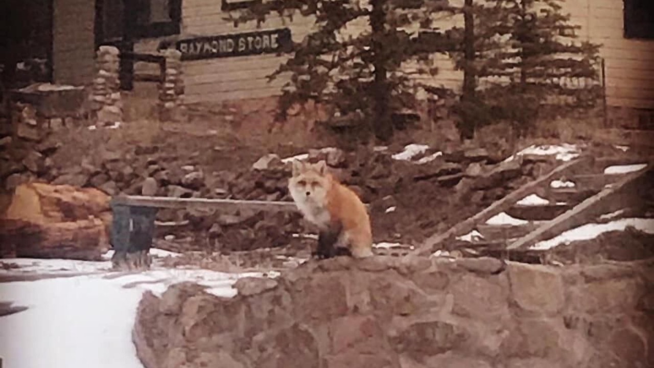 Photo of Others in Lyons