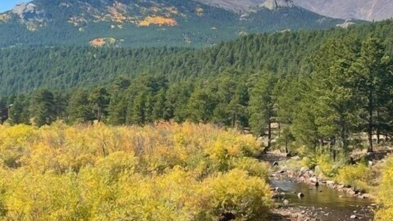 Photo of Others in Lyons