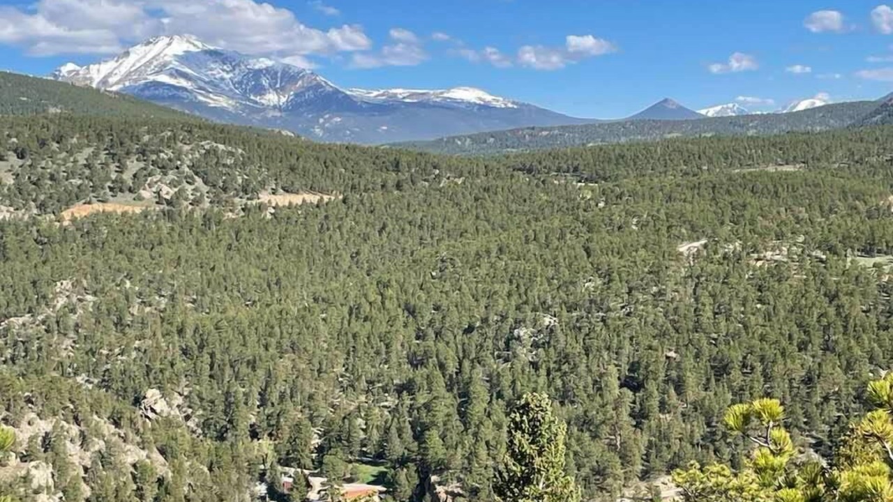 Photo of Outdoor in Lyons