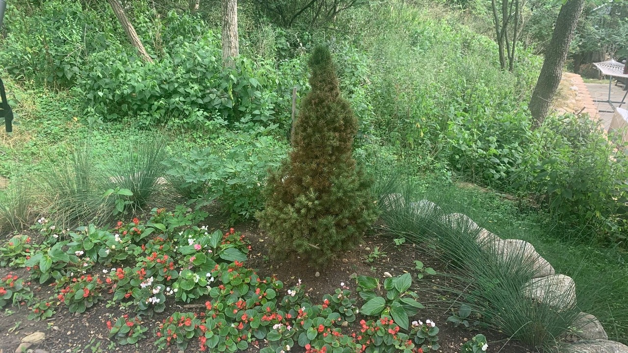 Photo of Outdoor in Williams Bay