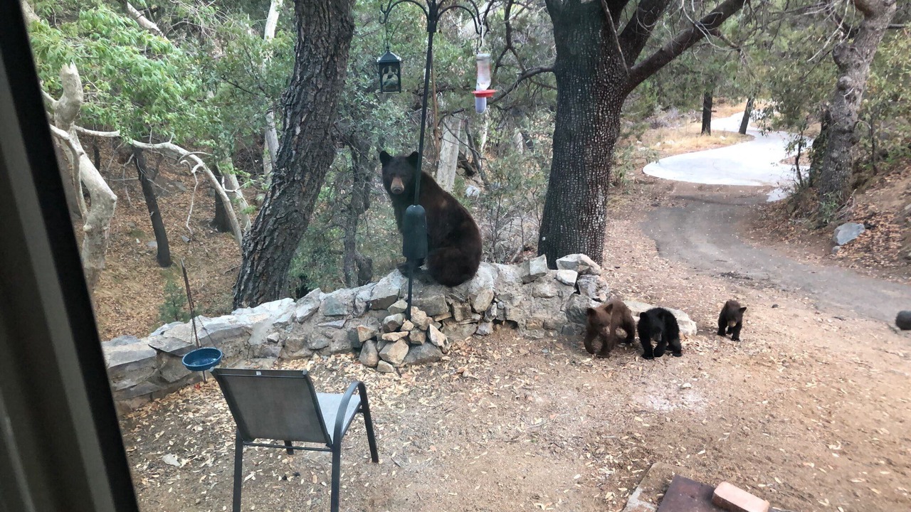 Photo of Others in Sonoita