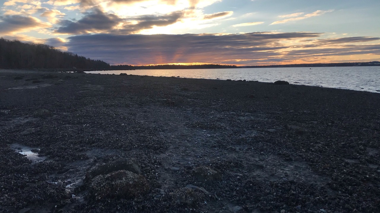 Photo of Others in Salsbury Cove