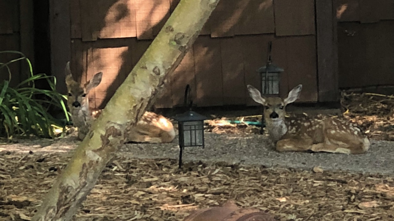 Photo of Outdoor in Old North Boulder