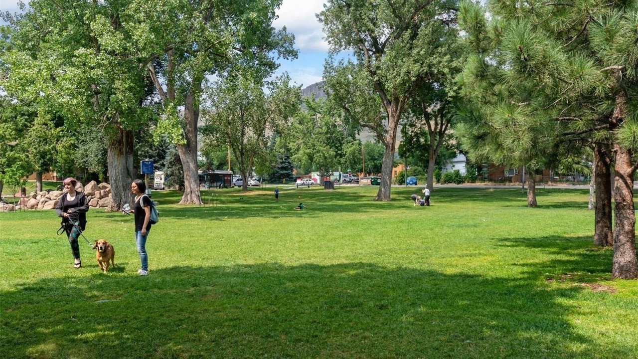 Photo of Others in Golden