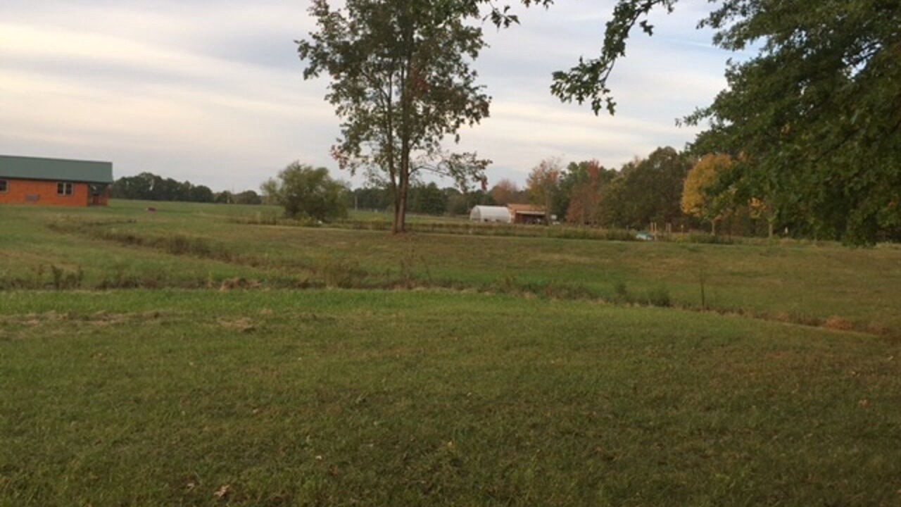 Photo of Outdoor in Deerfield