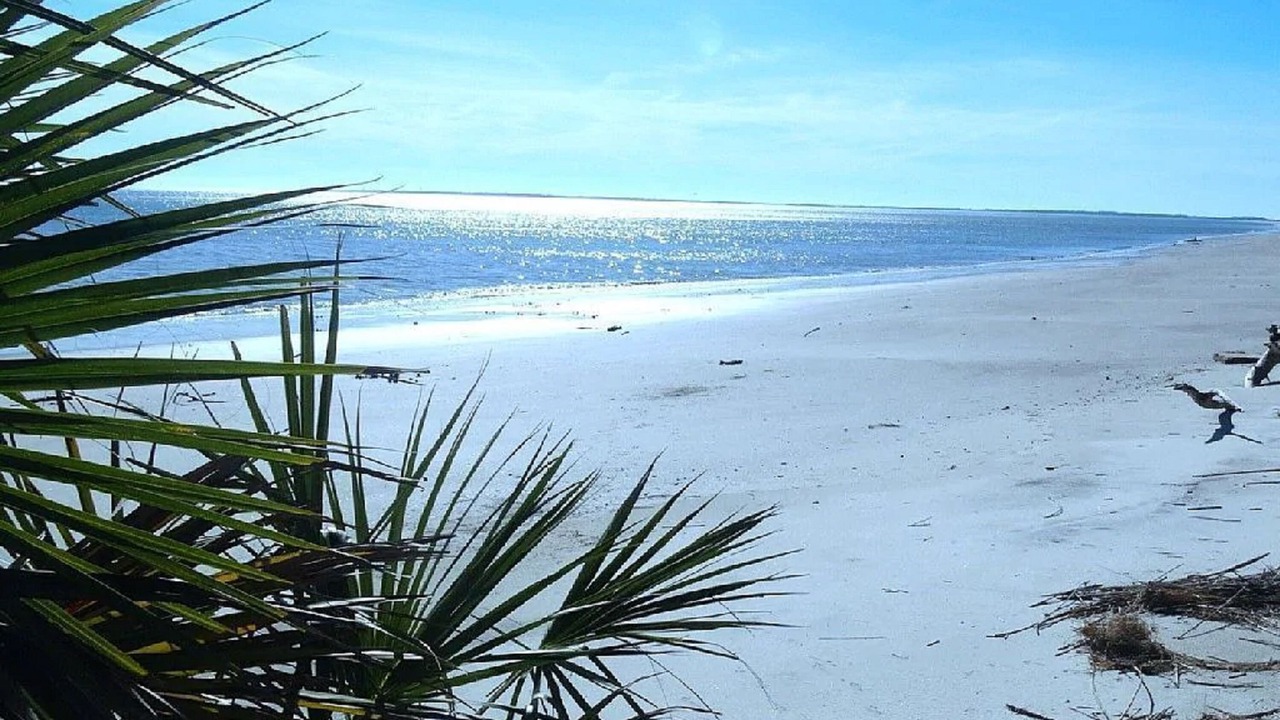Photo of Others in Melrose on the Beach