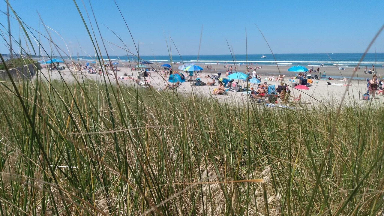Photo of Others in Waveland