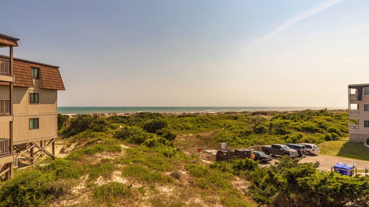 Photo of Outdoor in Morehead City