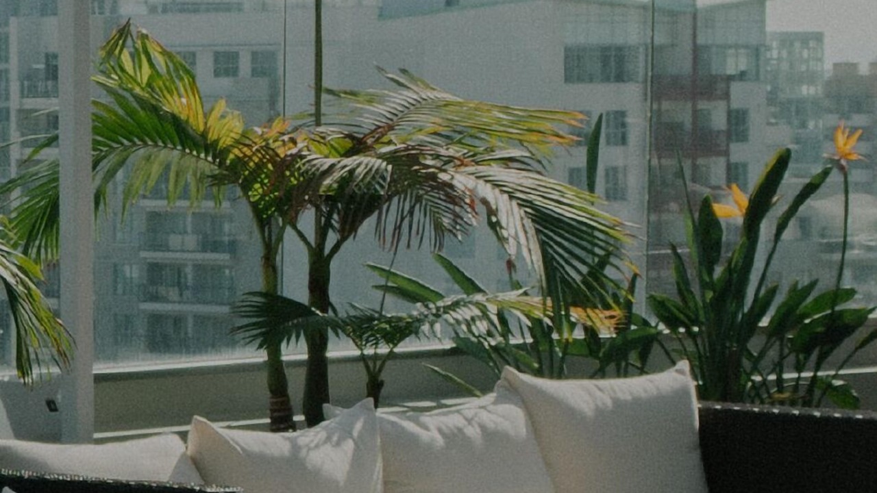 Photo of Outdoor in Lower Nob Hill
