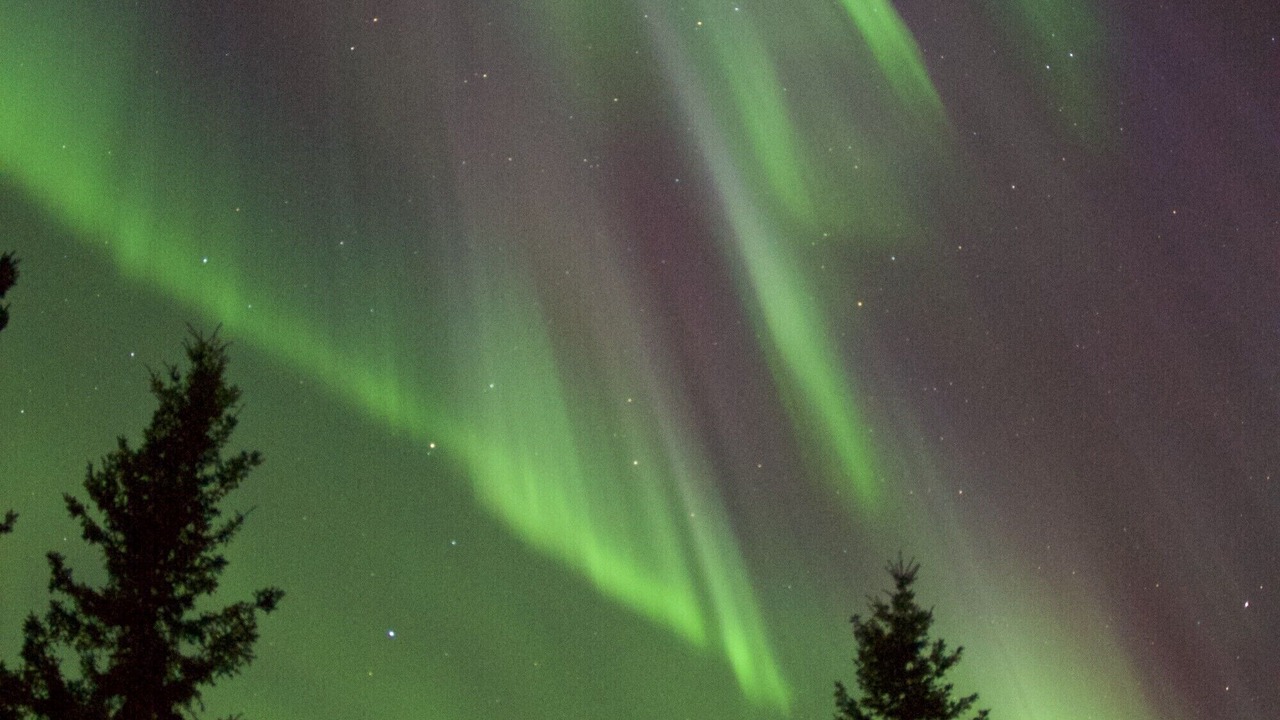 Photo of Others in Fairbanks