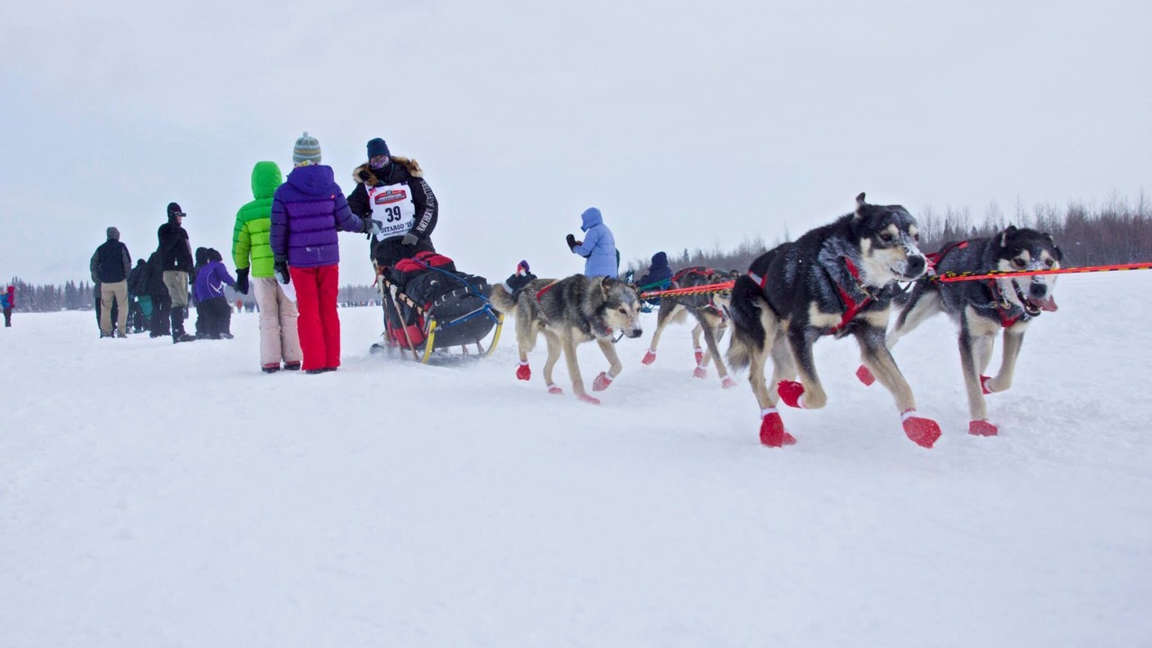 Photo of Others in Fairbanks