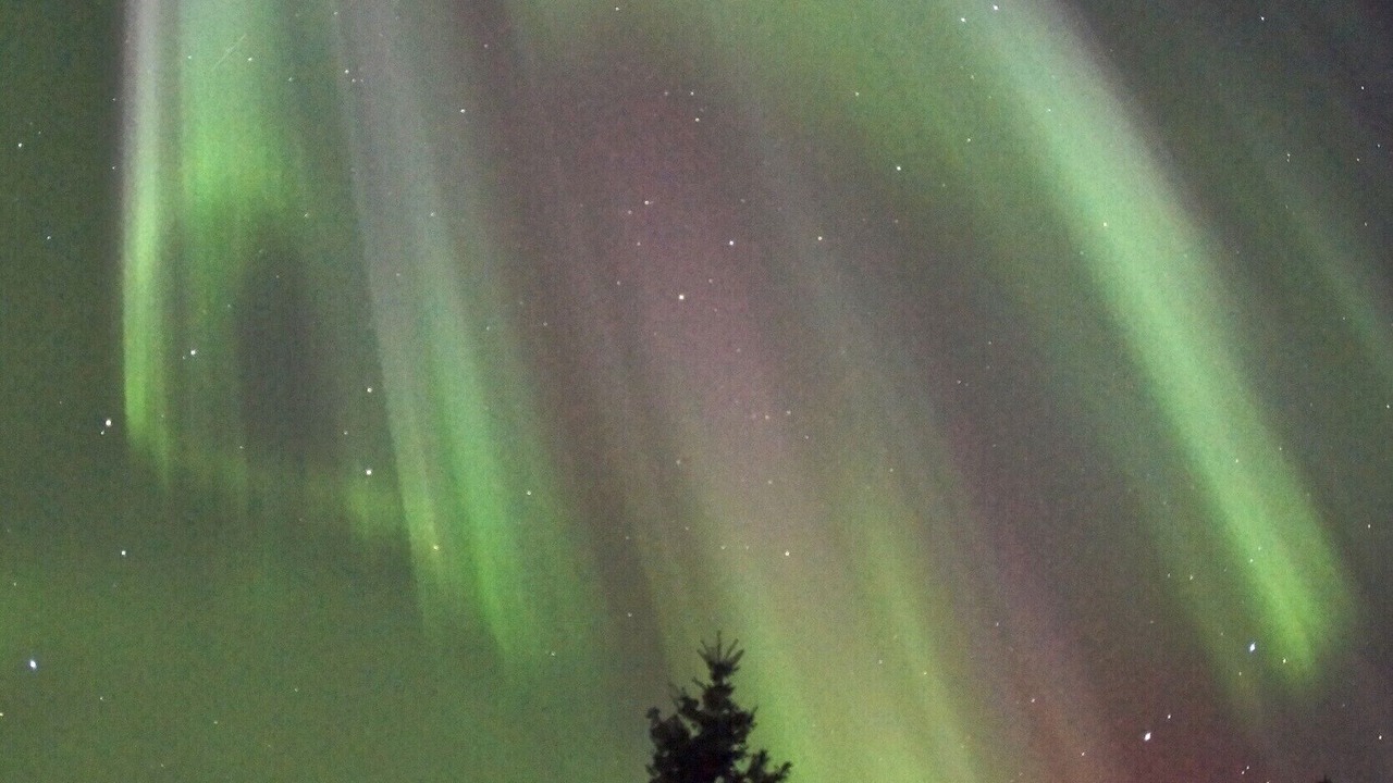 Photo of Others in Fairbanks