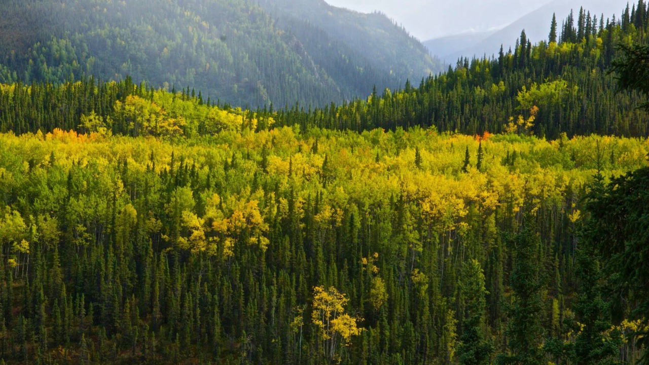 Photo of Others in Fairbanks
