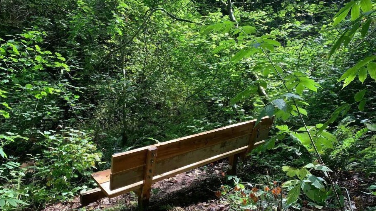 Photo of Others in Lake Forest Park