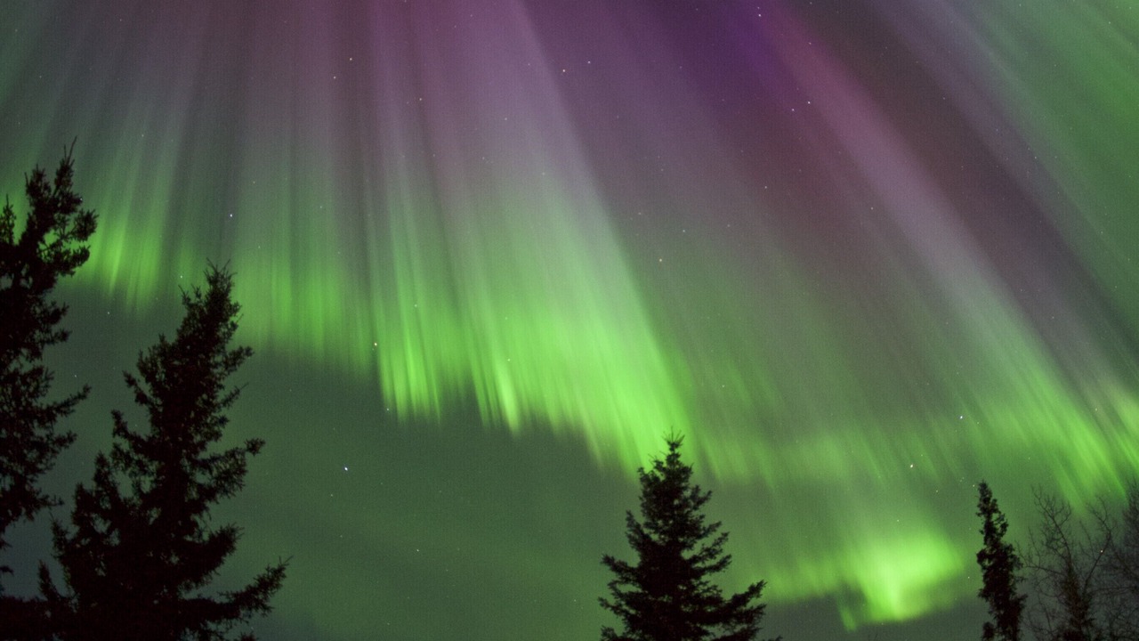 Photo of Others in Fairbanks