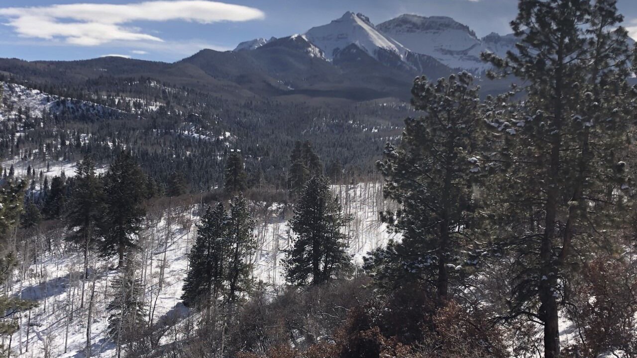Photo of Others in Elk Meadows