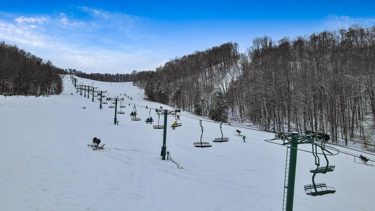 Photo of Others in Boyne Falls