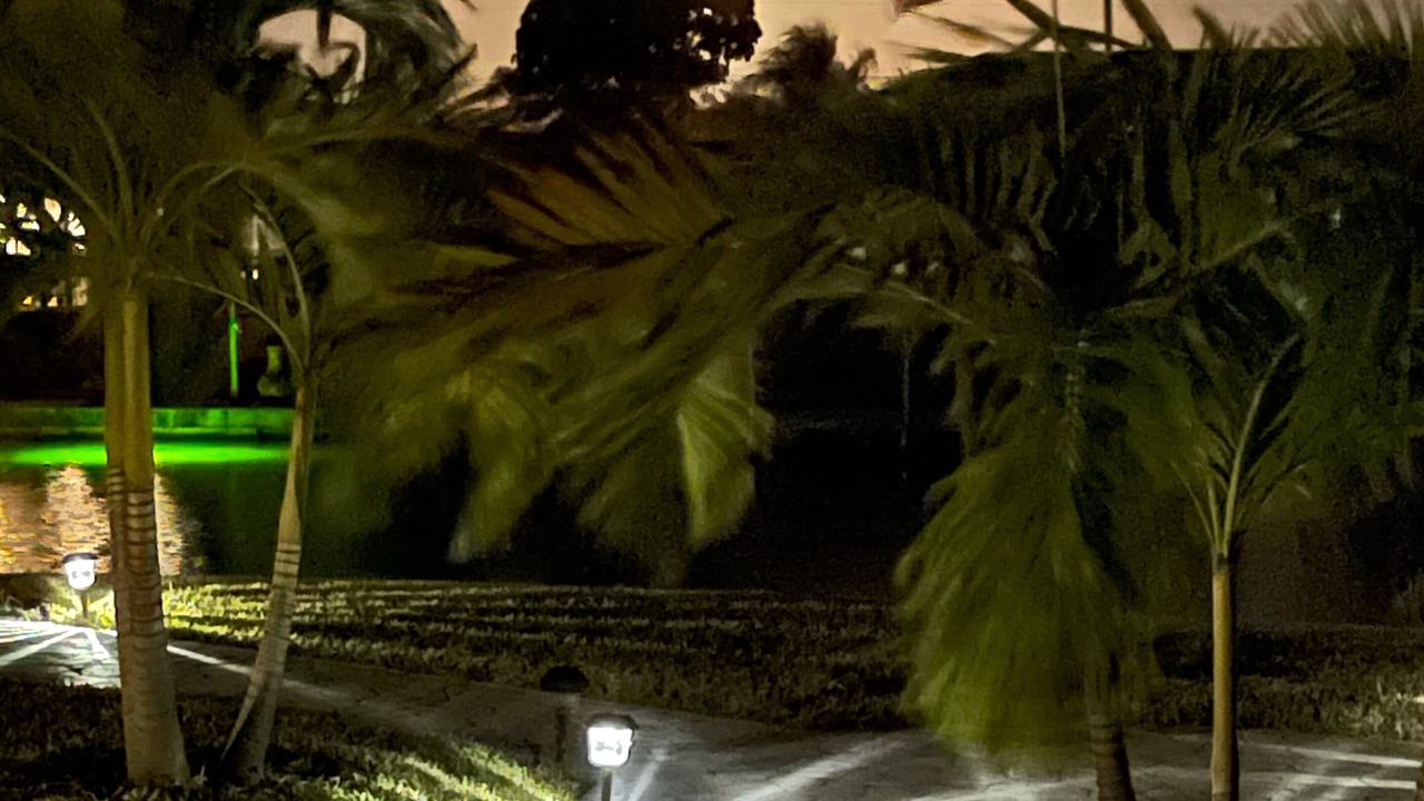 Photo of Others in South Gulf Cove