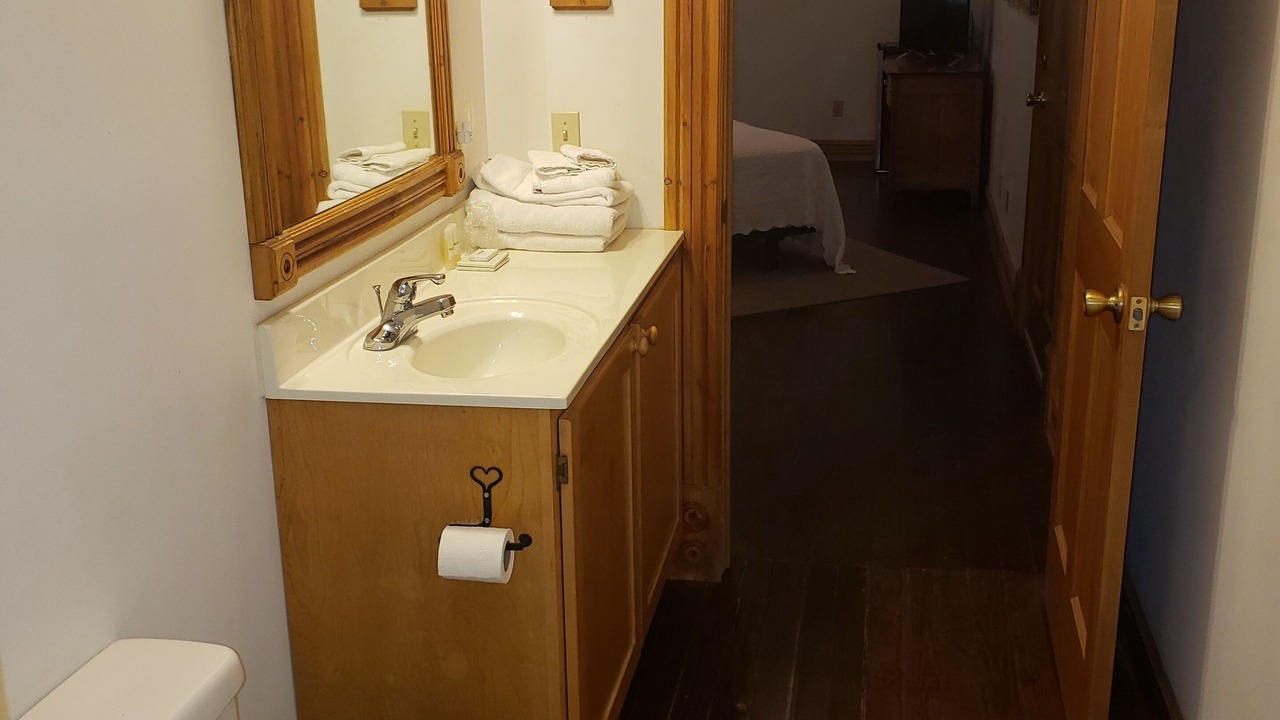 Photo of Bathroom in Bartlett