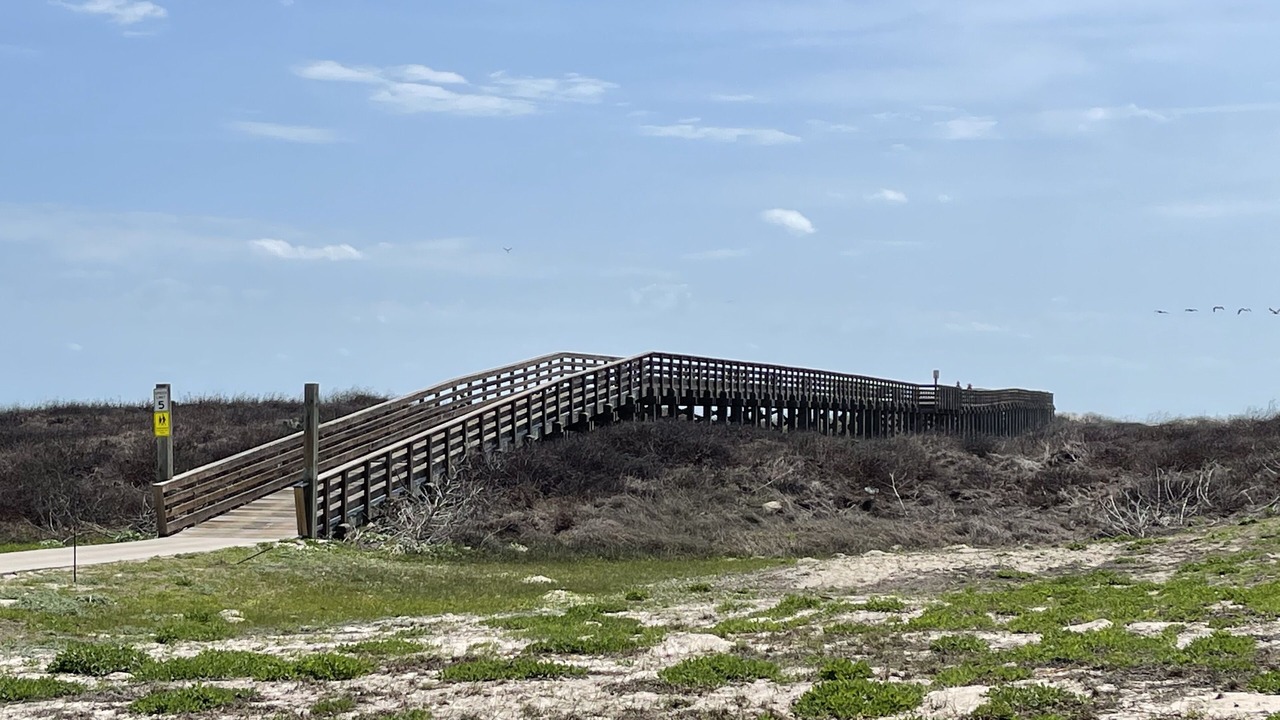 Photo of Others in Port Aransas