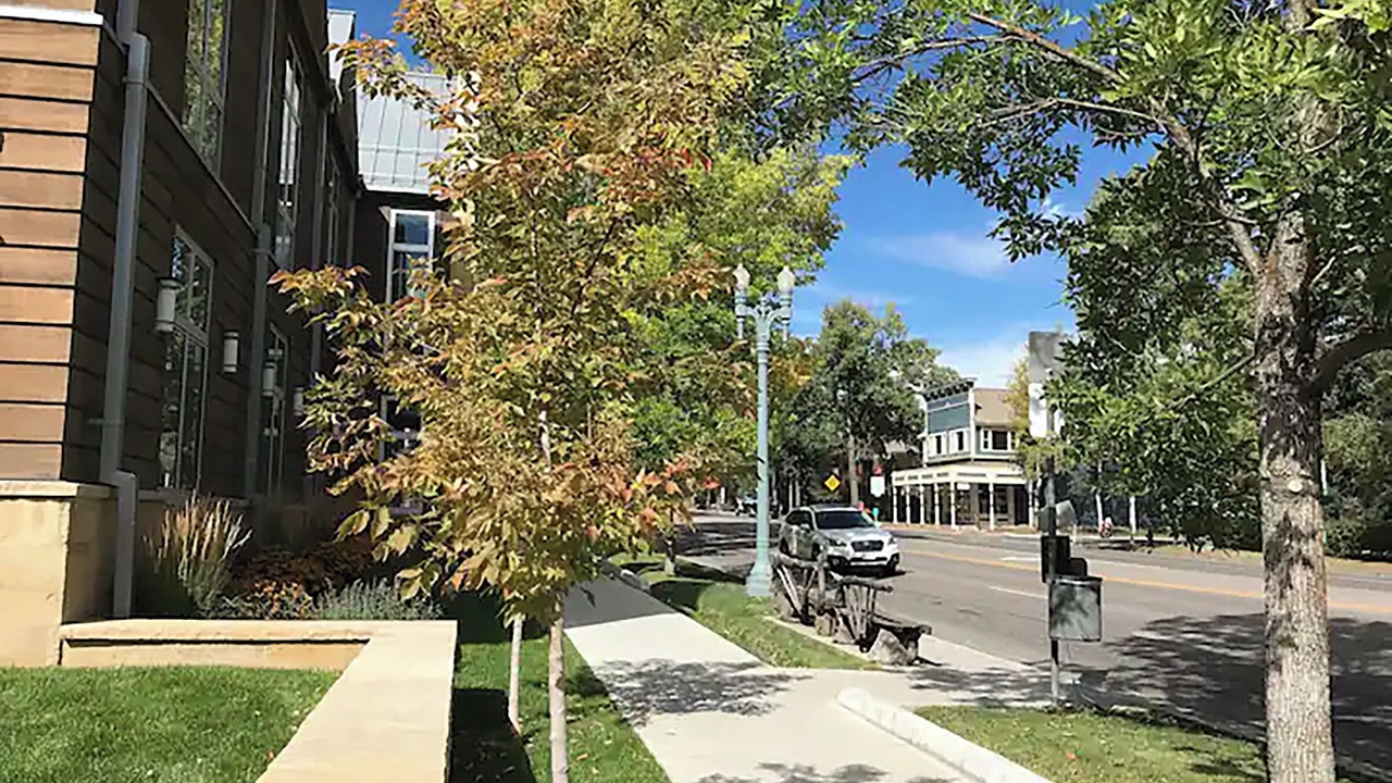 Photo of Outdoor in West End