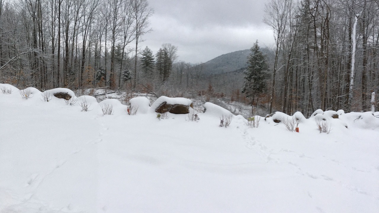 Photo of Outdoor in North River