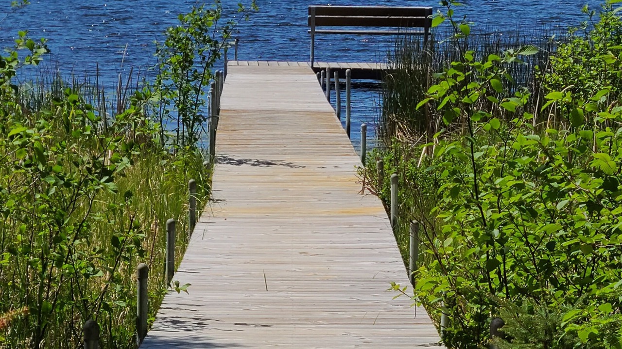 Photo of Outdoor in Sayner