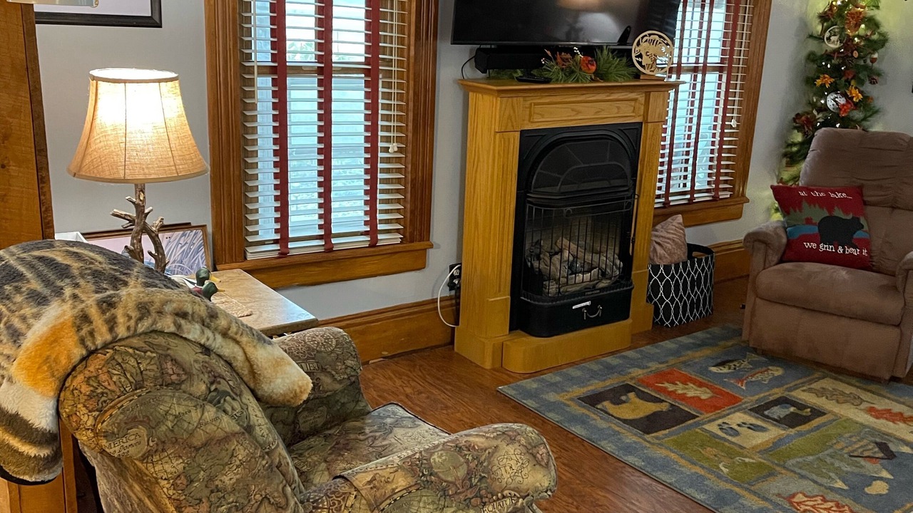 Photo of Livingroom in Martin