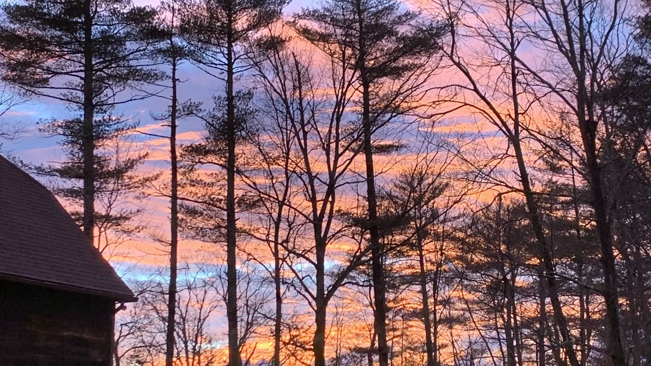 Photo of Outdoor in Mount Marion