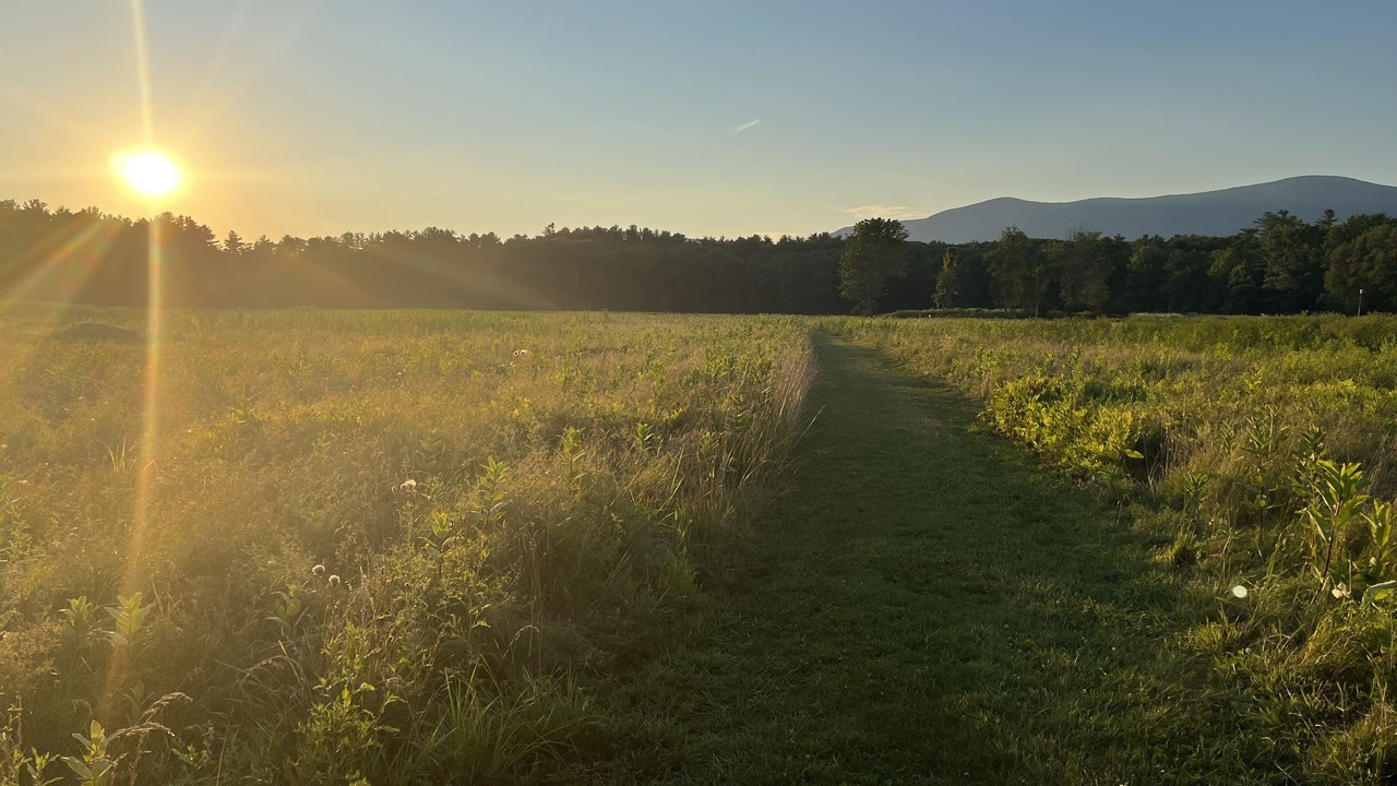 Photo of Others in Mount Marion