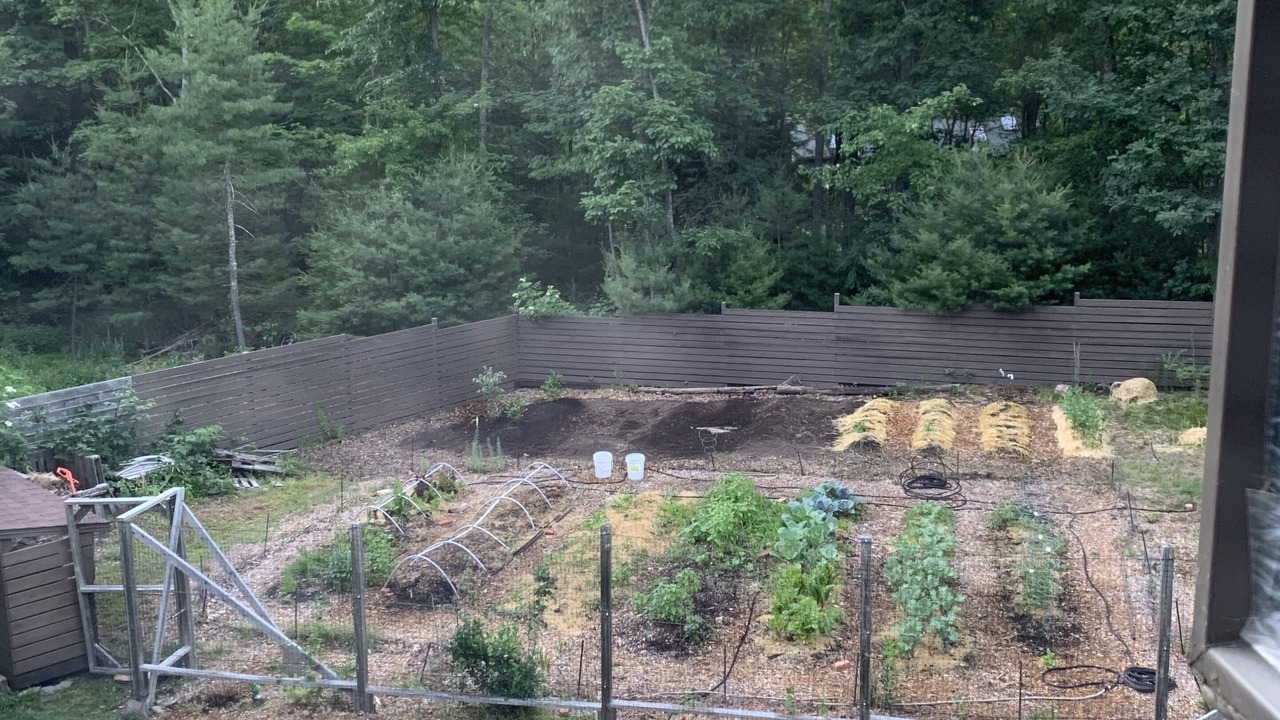 Photo of Outdoor in Mount Marion
