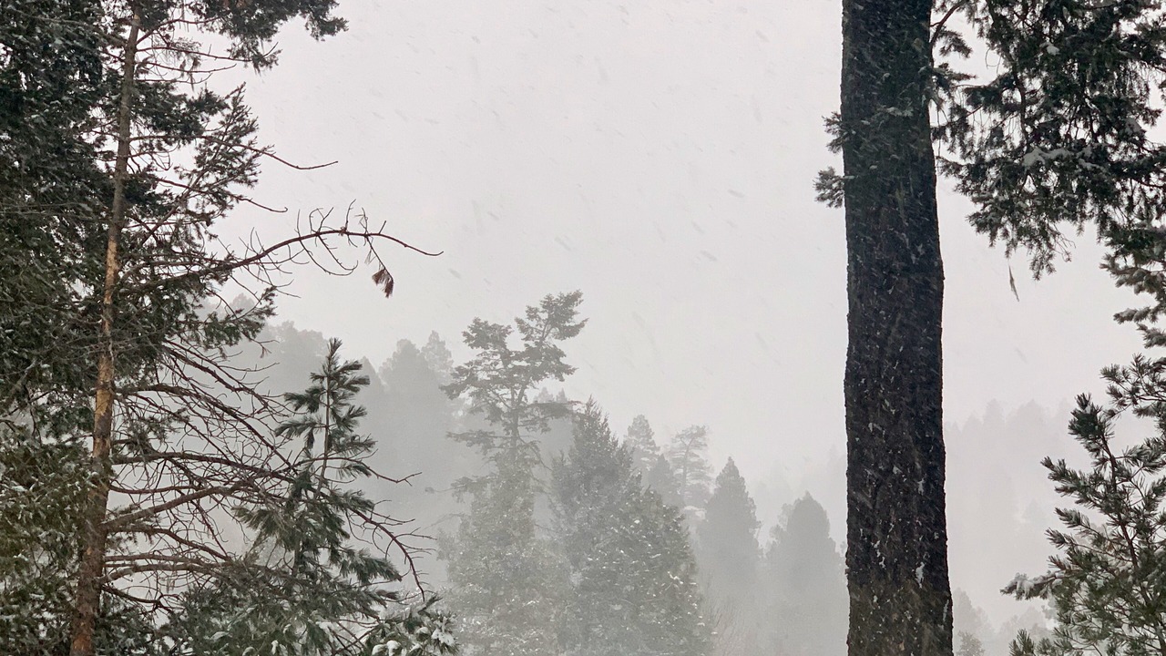 Photo of Others in Cloudcroft