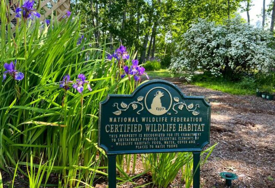 Photo of Outdoor in Trenton