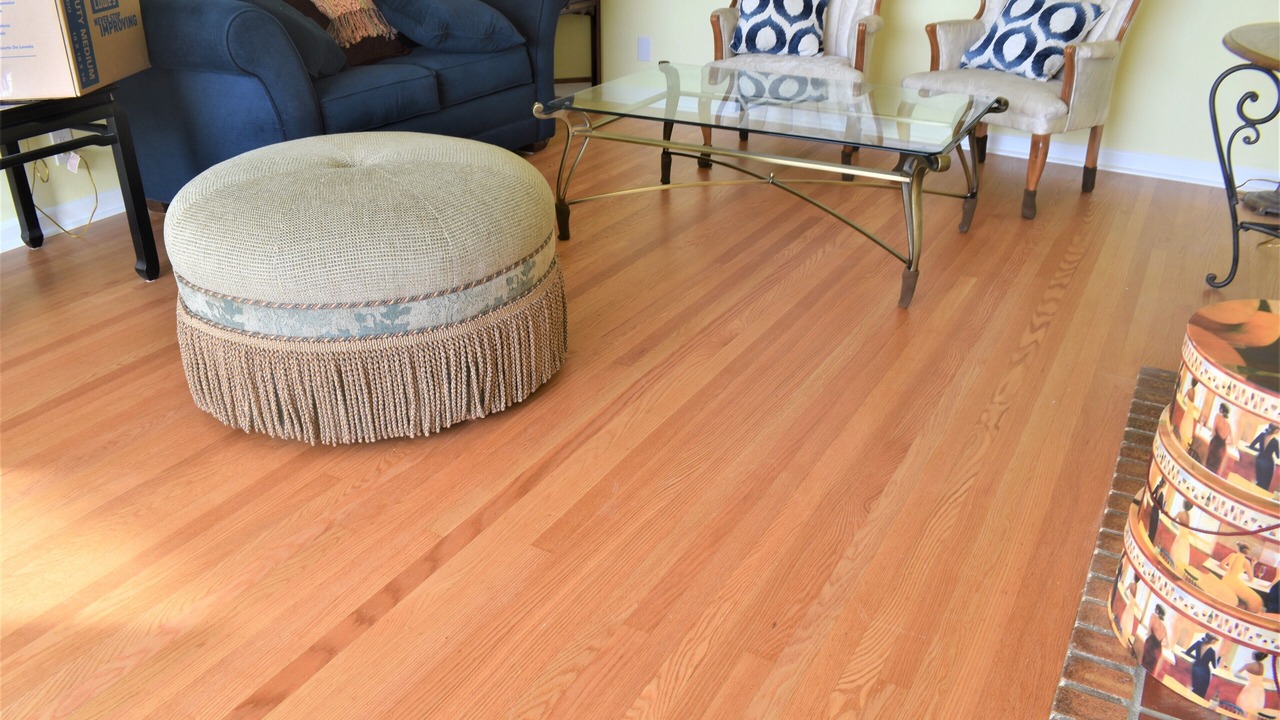 Photo of Livingroom in North Admiral