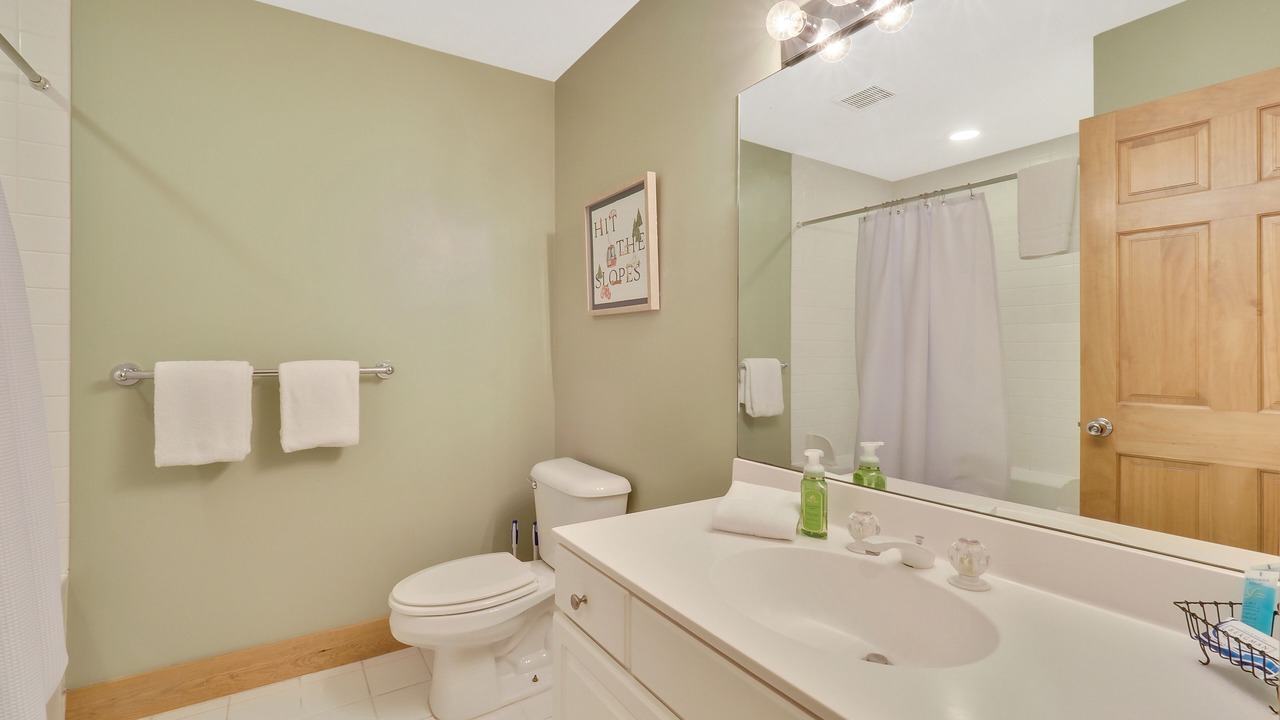 Photo of Bathroom in Boyne Falls