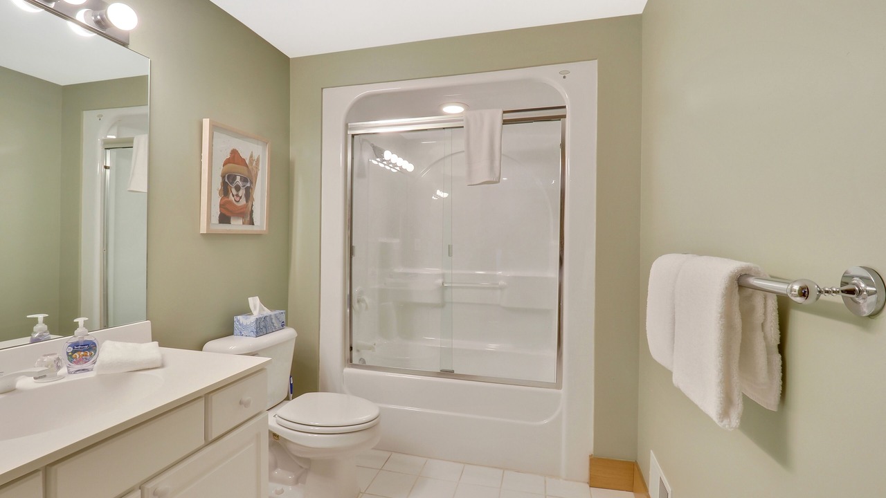 Photo of Bathroom in Boyne Falls