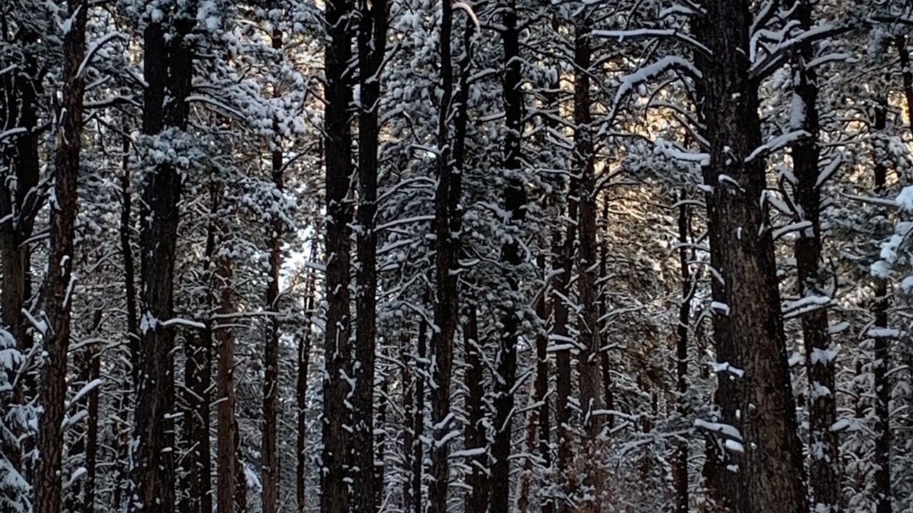 Photo of Others in Pagosa Springs